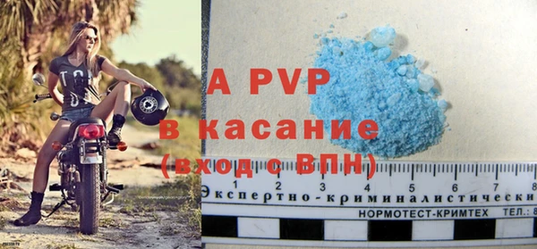 мескалин Богданович