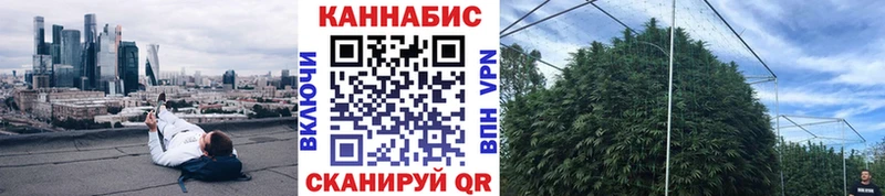 где найти   Пестово  Канабис AK-47 